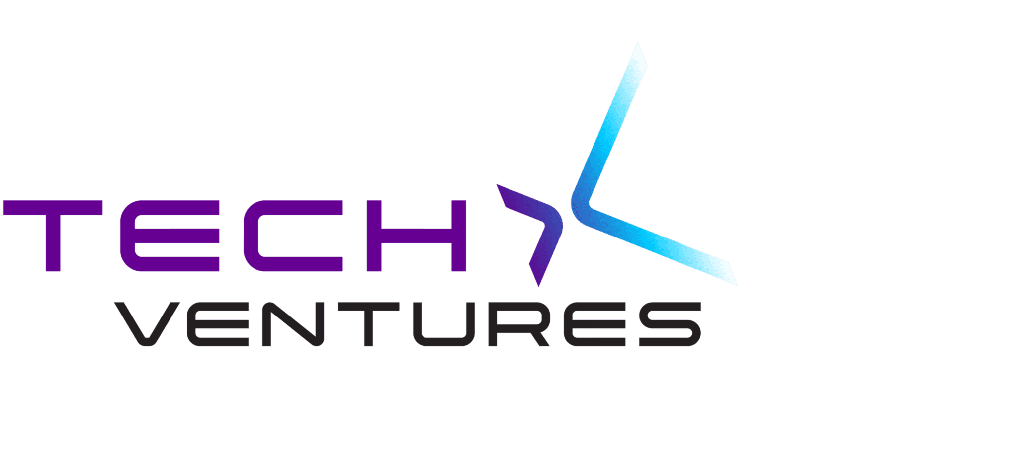 TechX Ventures – Bringing Together a Safer World